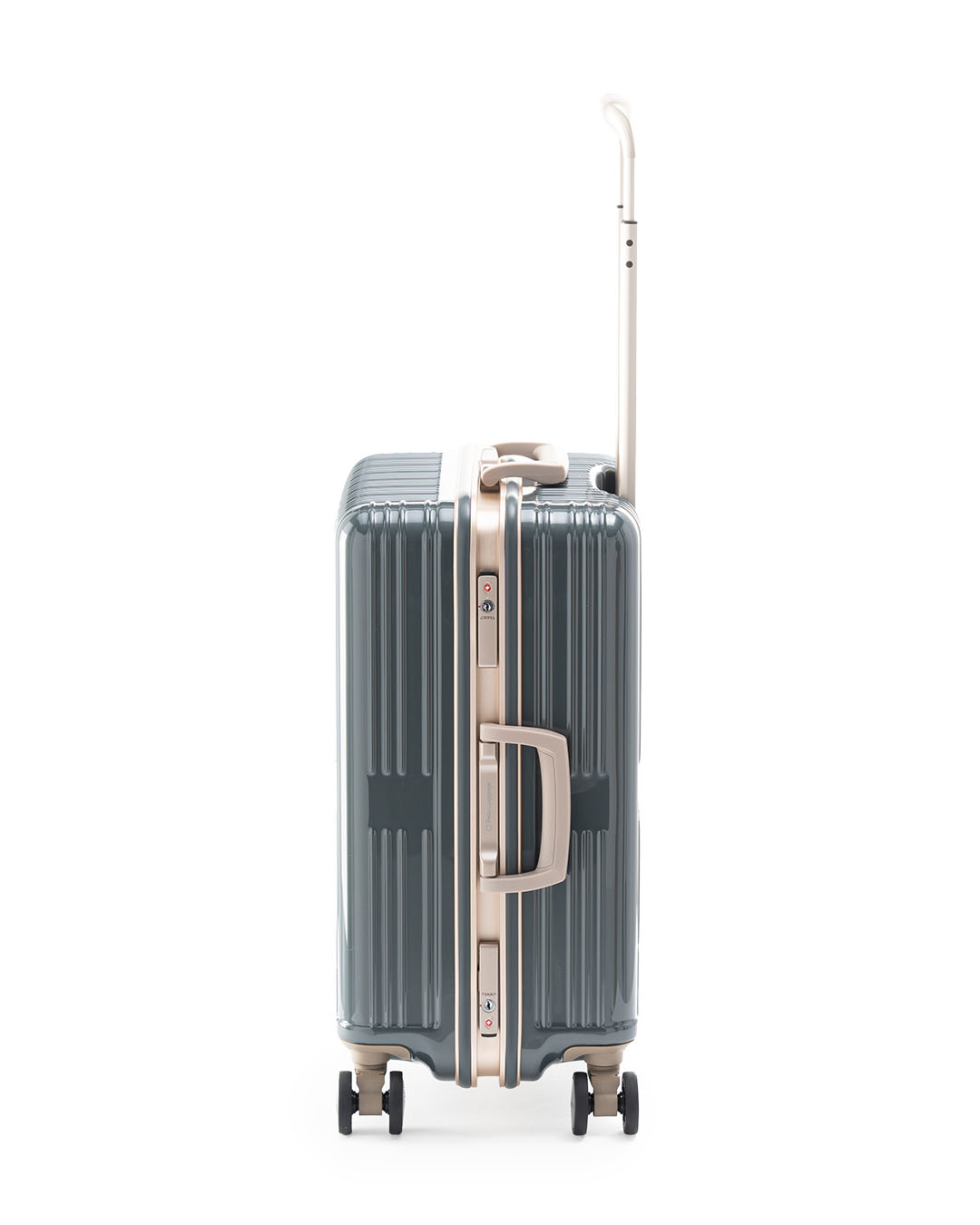 Dream@land専用 国内盤CD☆ドリームジャパン/dream (japan)□ EURO dream land